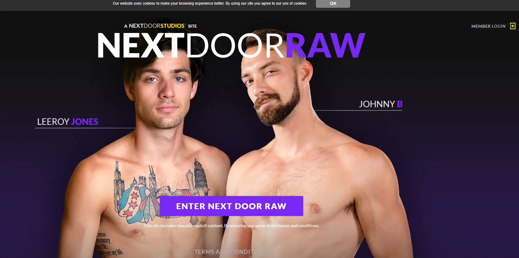Mygaysites Review - One Of The Top Porn Sites