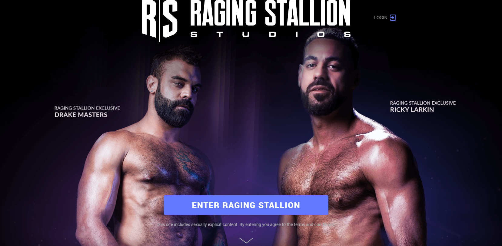 Ragingstallion image