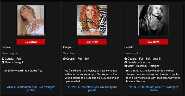 Swinger Date Club website