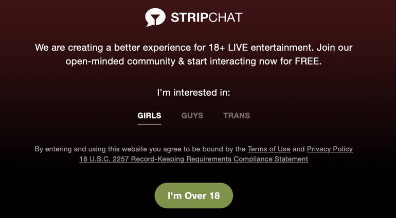 Stripchat login page