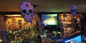 Therapy at the Roar Room