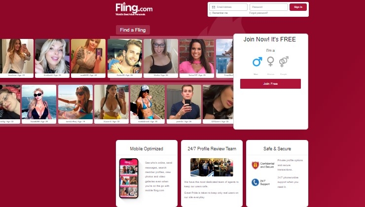 Screenshot Fling site